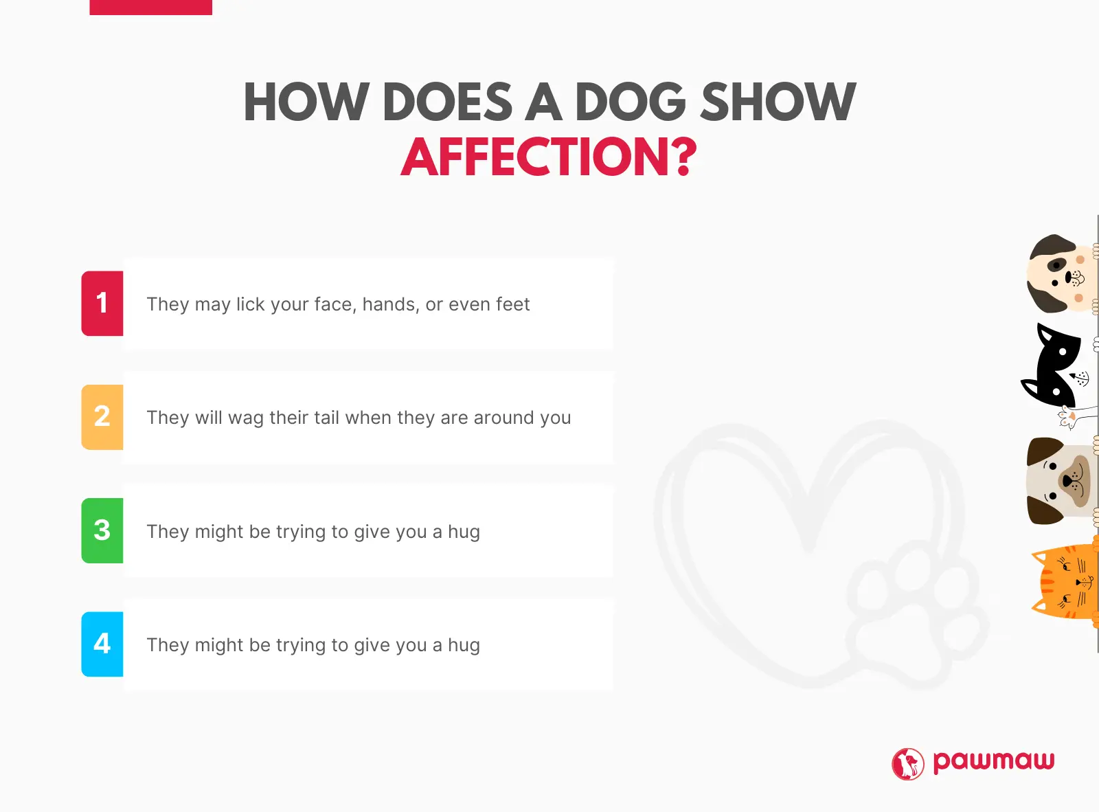 https://pawmaw-images.s3.ap-southeast-1.amazonaws.com/blog-image/How-does-a-dog-show-affection.png