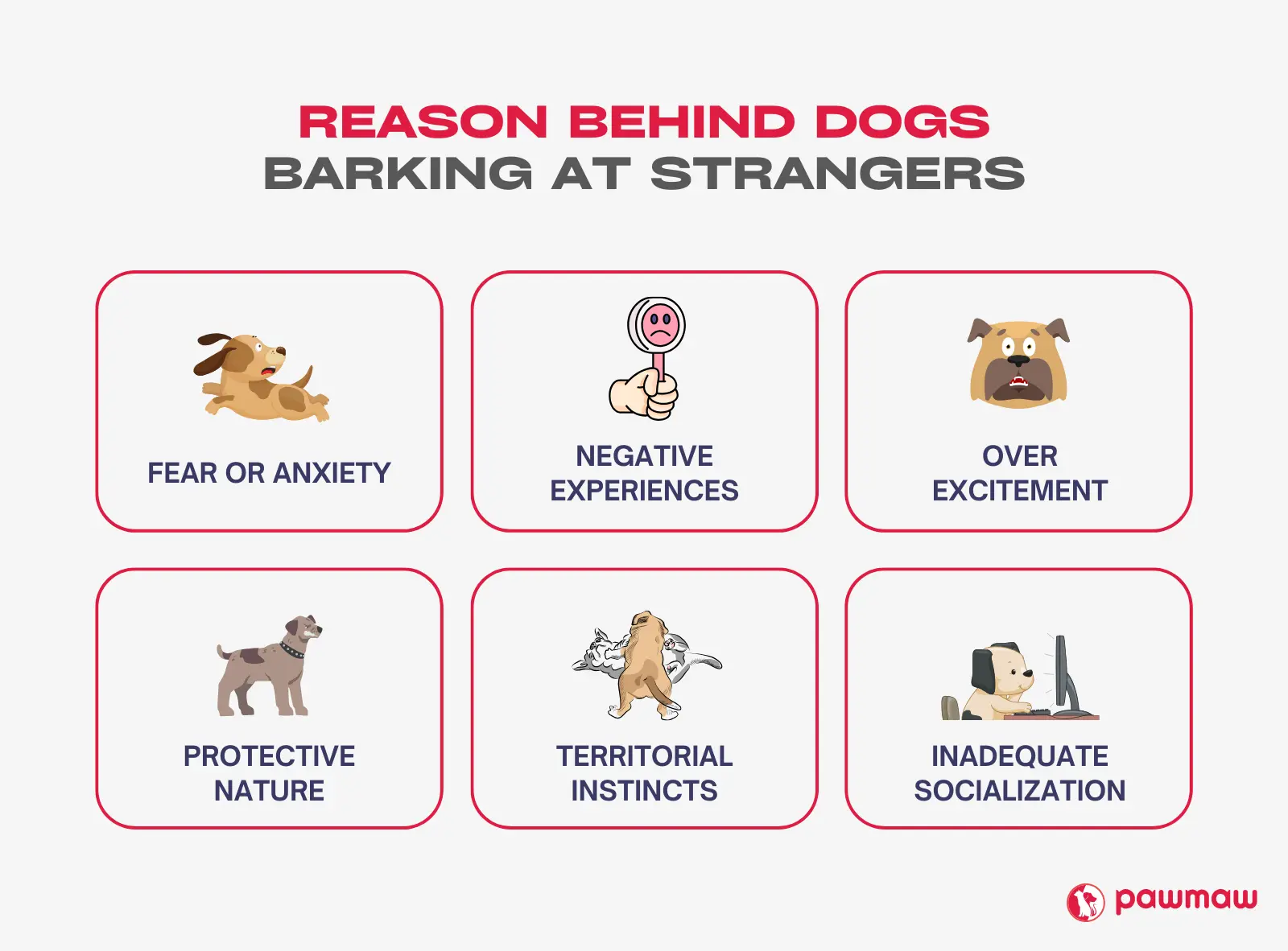 My dog is not barking hot sale at strangers