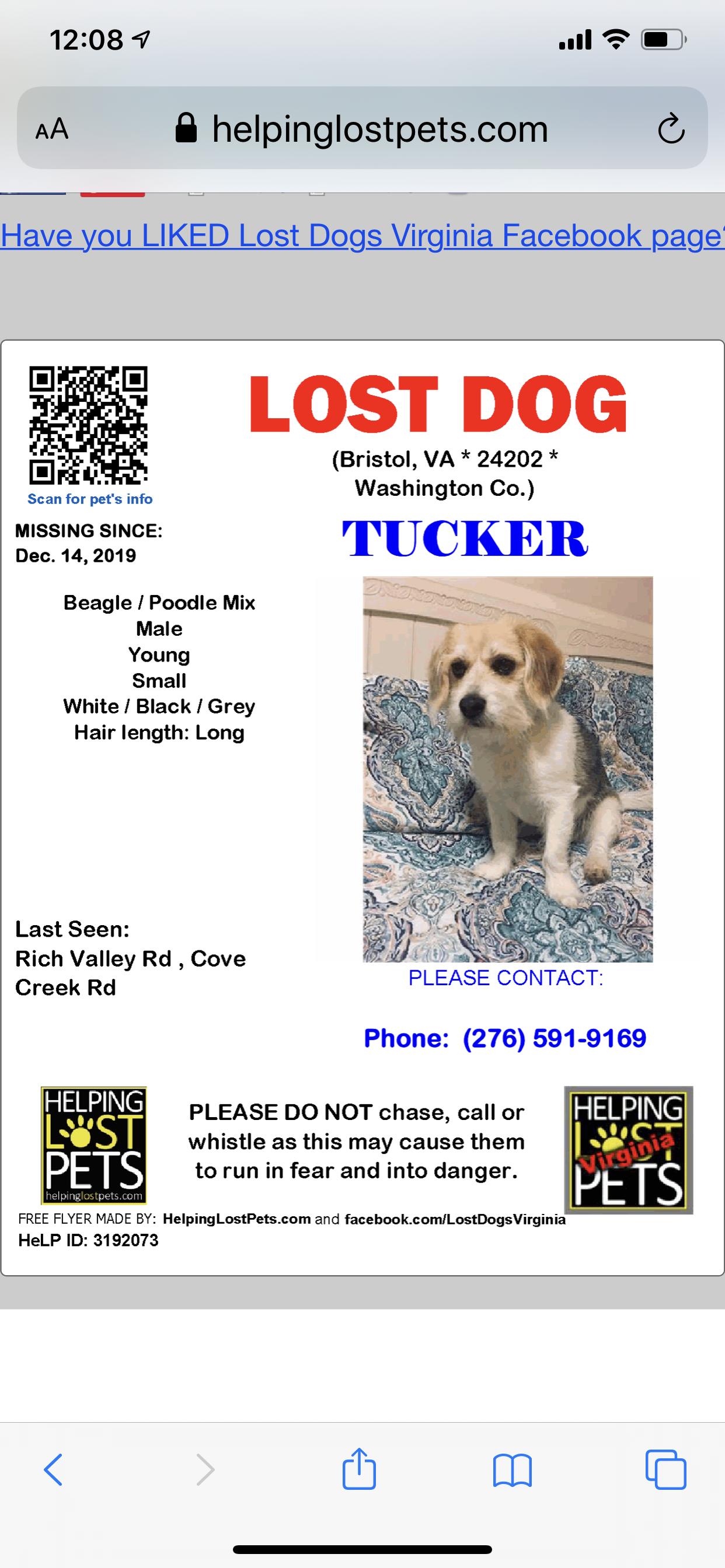 https://pawmaw-images.s3.ap-southeast-1.amazonaws.com/uploads/pets_image/lost_109416.png