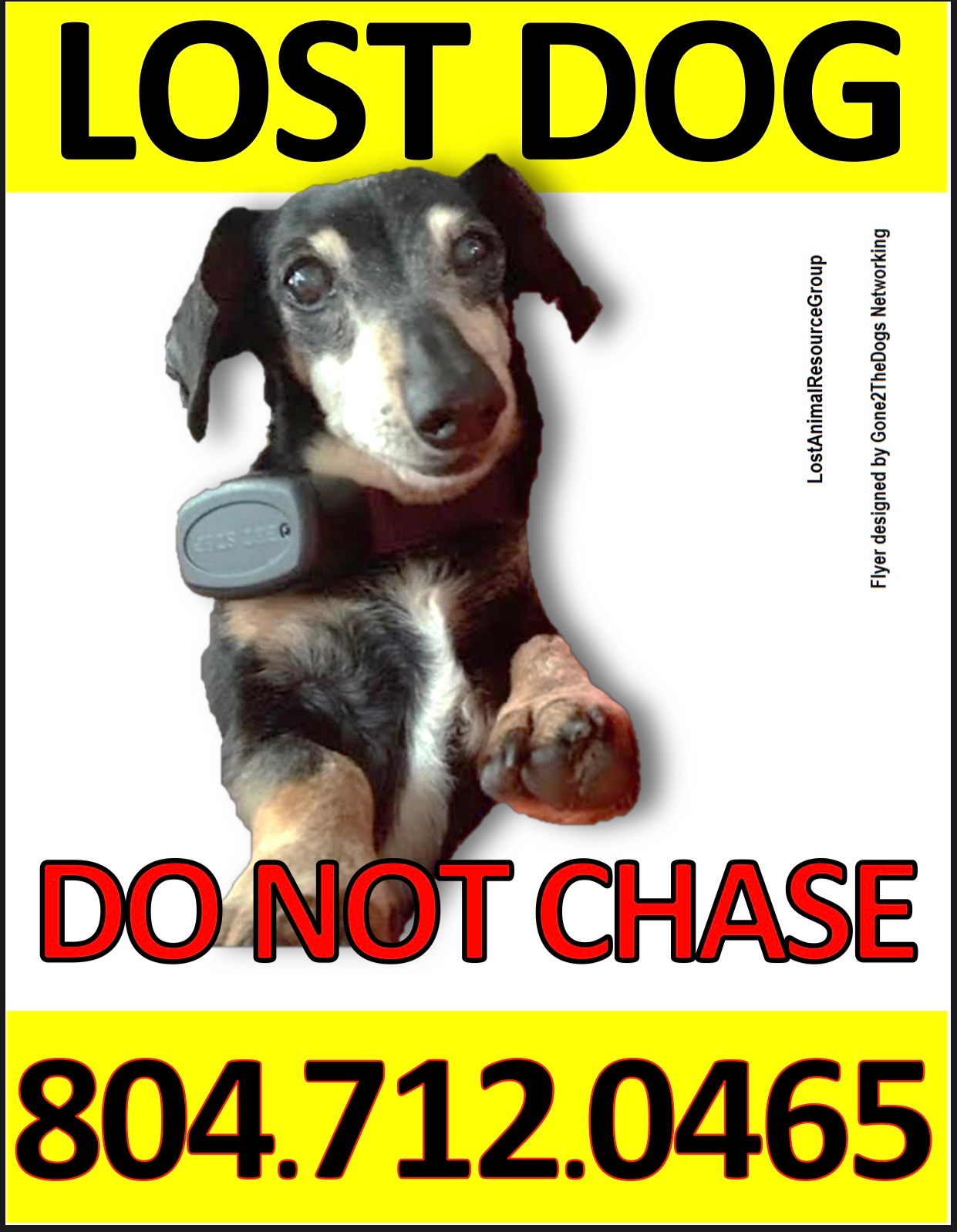 https://pawmaw-images.s3.ap-southeast-1.amazonaws.com/uploads/pets_image/lost_111003.jpeg