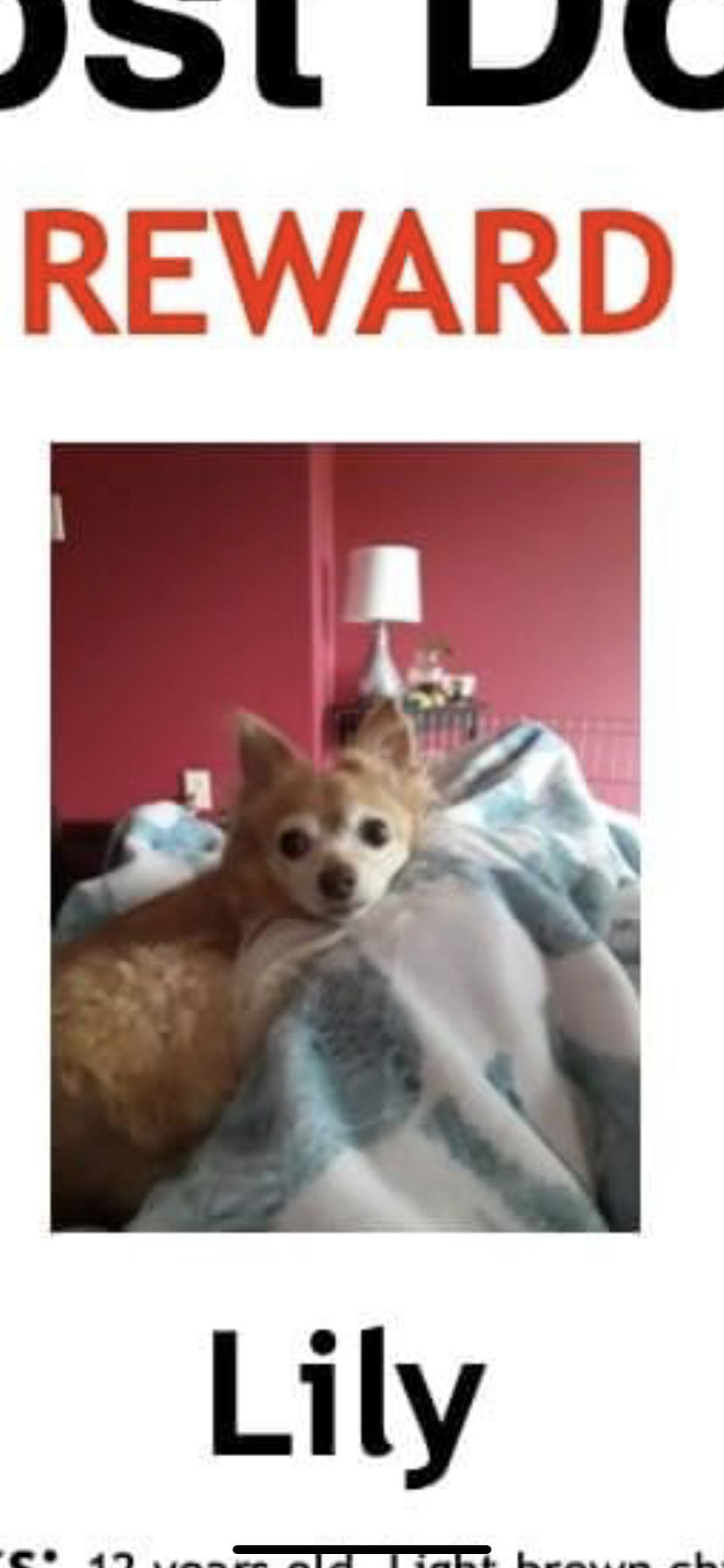 Rare footage of lost anglerfish awes internet, raising questions about  ocean conservation - Salon.com, image size:828x1792