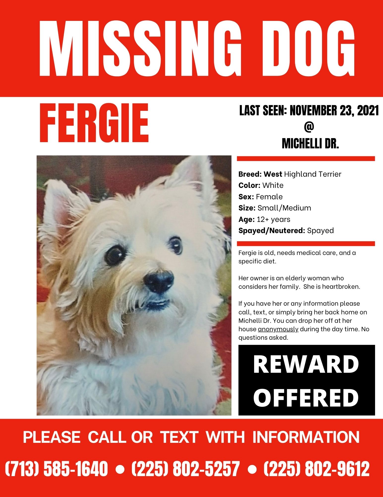 Fergie - A Female Dog Lost - Winbourne Ave. N. Ardenwood, Baton Rouge,  Louisiana, 70805 - PawMaw