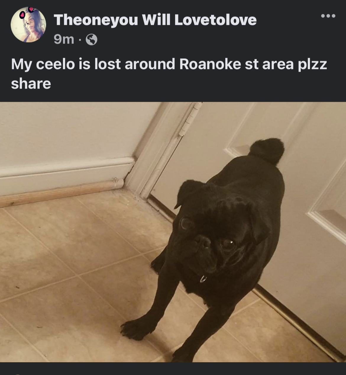 https://pawmaw-images.s3.ap-southeast-1.amazonaws.com/uploads/pets_image/lost_124173.jpeg