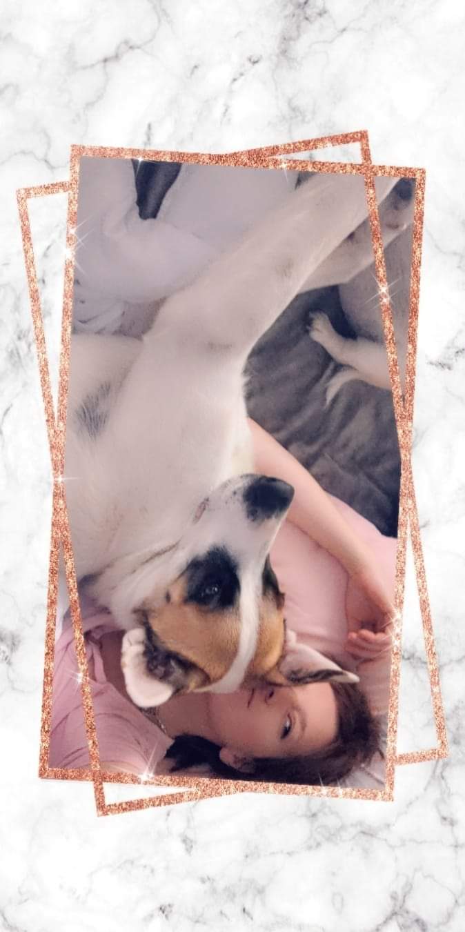 https://pawmaw-images.s3.ap-southeast-1.amazonaws.com/uploads/pets_image/lost_124516.jpg