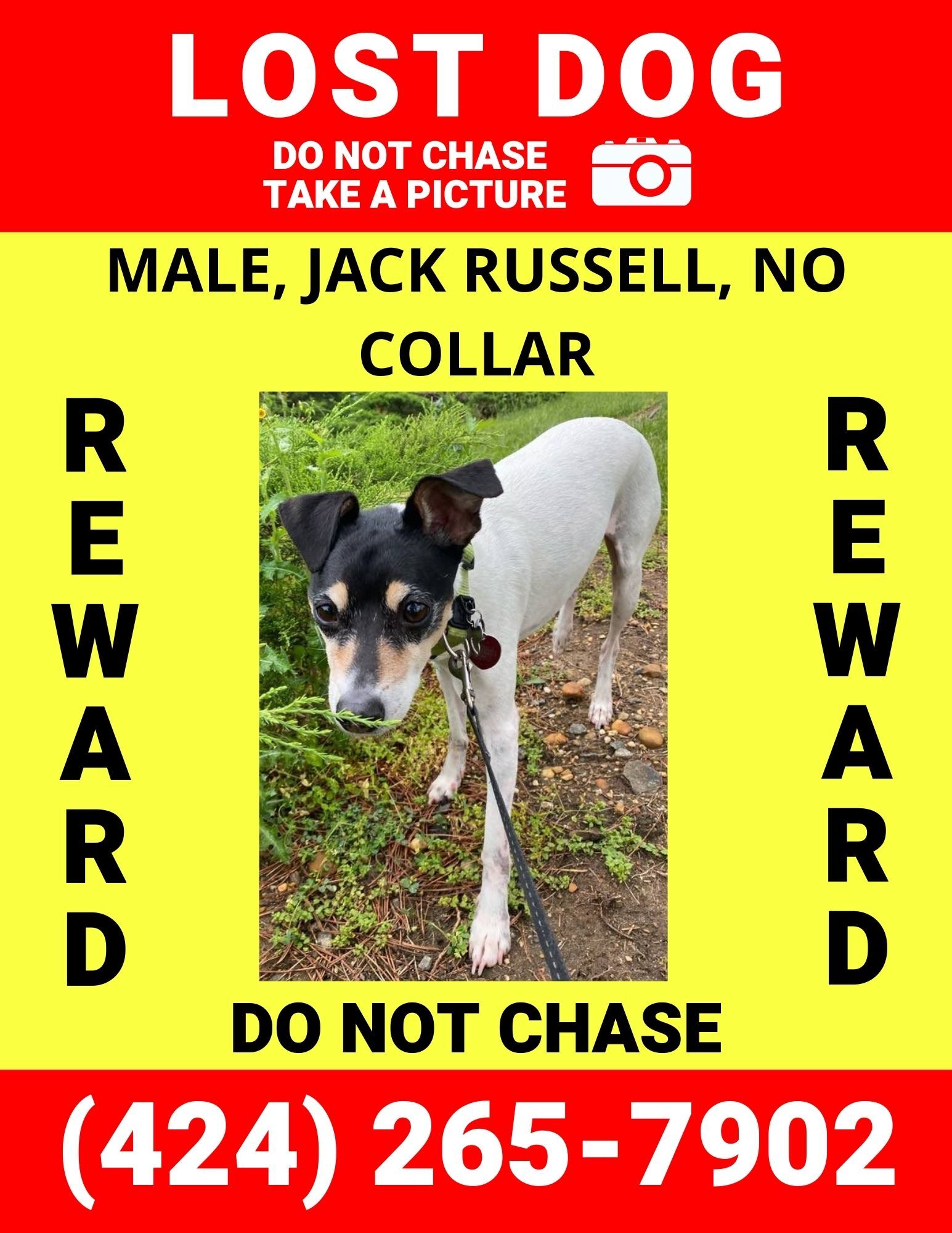 https://pawmaw-images.s3.ap-southeast-1.amazonaws.com/uploads/pets_image/lost_124814.jpg