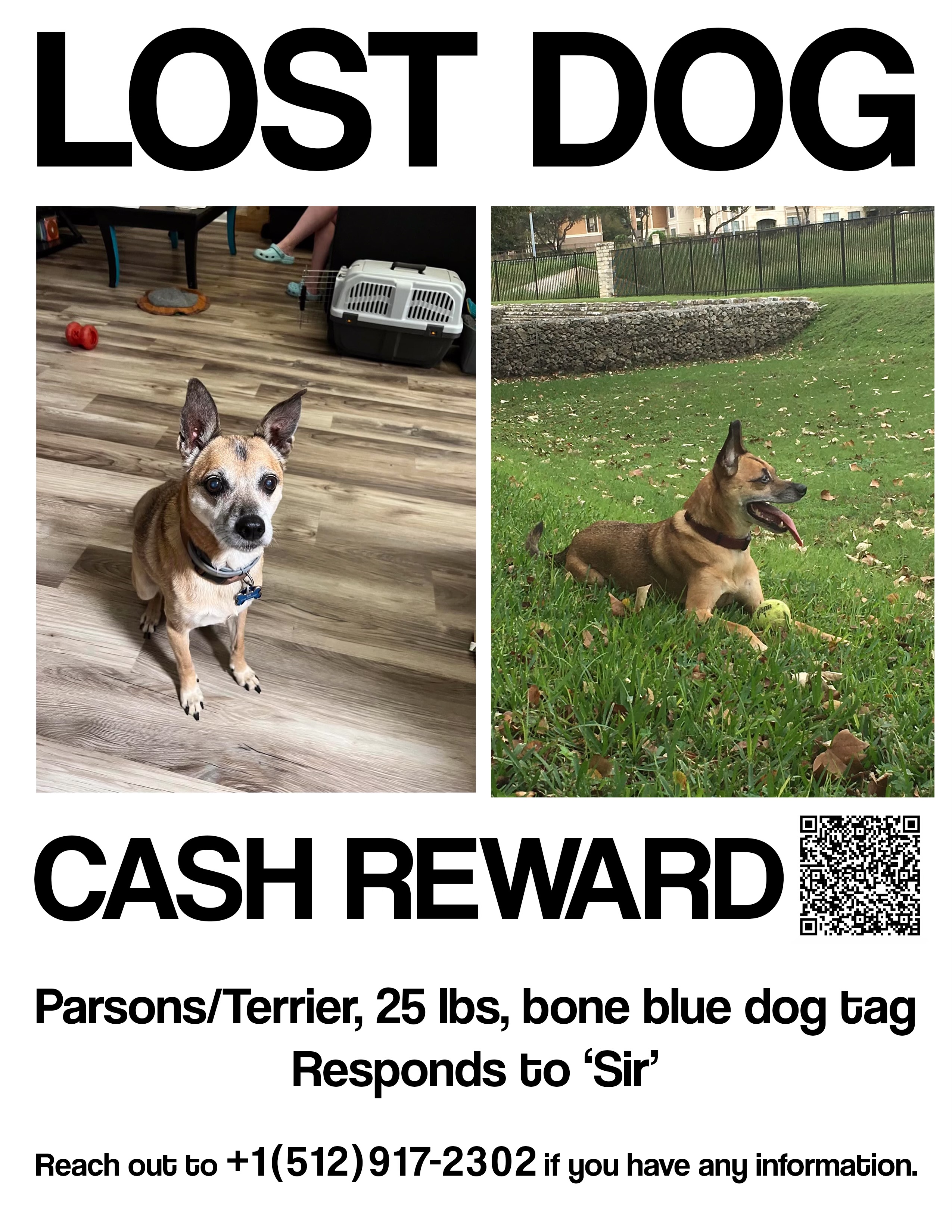 https://pawmaw-images.s3.ap-southeast-1.amazonaws.com/uploads/pets_image/lost_128772.jpeg