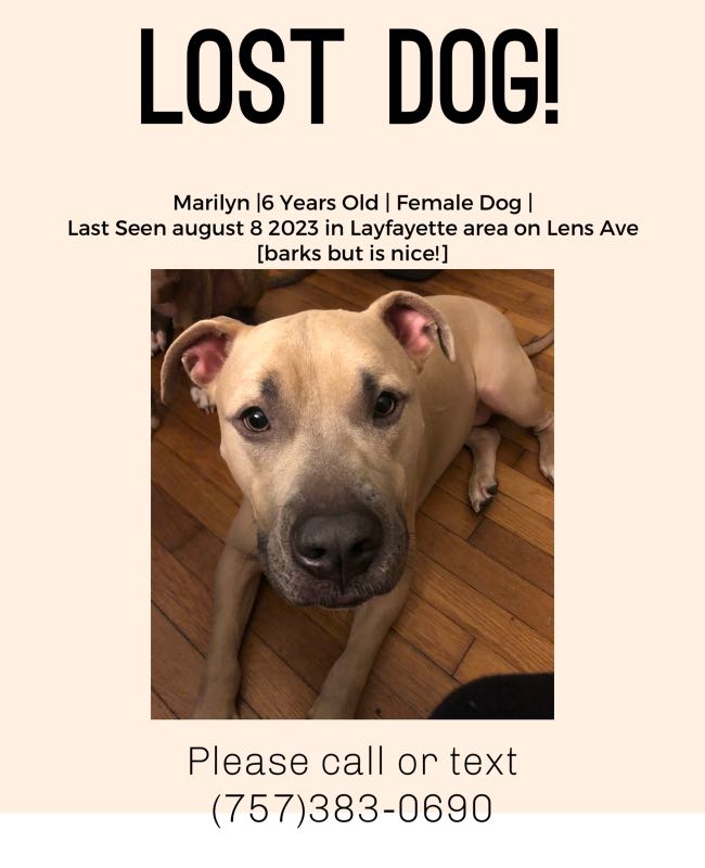 https://pawmaw-images.s3.ap-southeast-1.amazonaws.com/uploads/pets_image/lost_129940.png