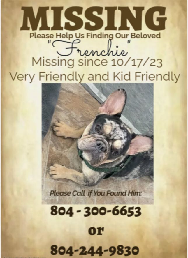 https://pawmaw-images.s3.ap-southeast-1.amazonaws.com/uploads/pets_image/lost_132229.png
