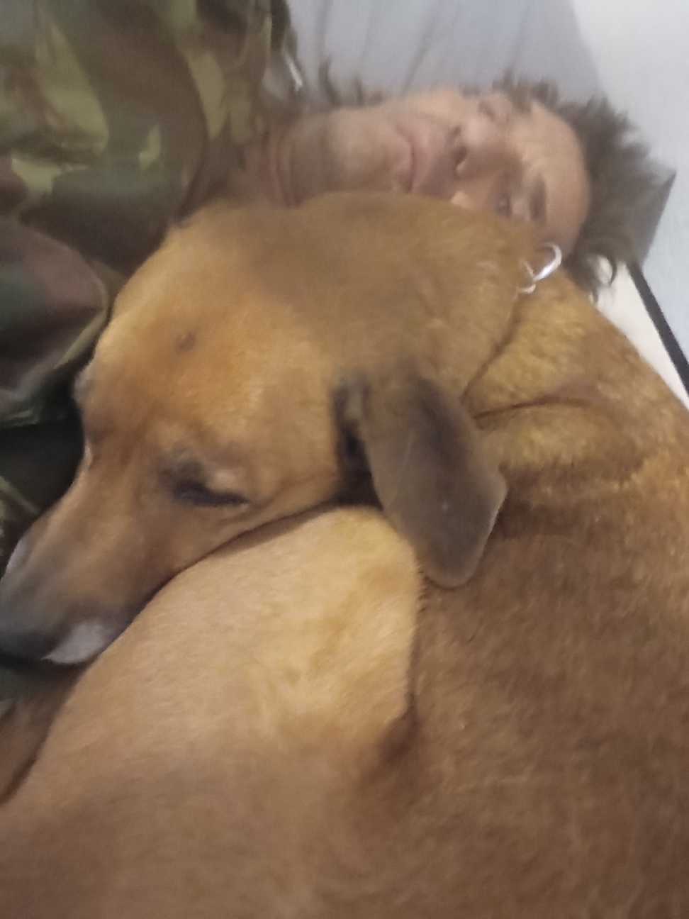 https://pawmaw-images.s3.ap-southeast-1.amazonaws.com/uploads/pets_image/lost_140086.png