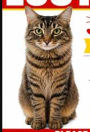 Lost Cat in Draper, Utah — listing photo